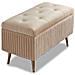 Pouf Contenitore Panca In Velluto Rettangolare Morbido Capiente Divanetto Beige - Foto miniatura 2