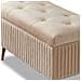Pouf Contenitore Panca In Velluto Rettangolare Morbido Capiente Divanetto Beige - Foto miniatura 5