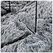 Tappeto Shaggy a Pelo Lungo NAVARRA Grigio Chiaro 160x160 cm - Foto miniatura 4