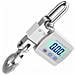 Bilancia A Gru Digitale 500kg - Bilancia Portatile Robusta Con Display Lcd White - Foto miniatura 4