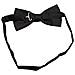Da Sposa Classico Papillon Cravatta Papillon Novità Tuxedo Moda Regolabile - Foto miniatura 2