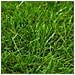 Erba Artificiale 1x15 M / 40 Mm Verde - Foto miniatura 2