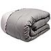 Trapunta Piumone Letto Invernale Imbottita 300gr Microfibra Double Face Bicolor 2 Piazze Grigio-grigio - Foto miniatura 2