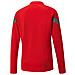 Teamfinal Training 14 Zip 65737501, Uomini, Rosso, L - Foto miniatura 2