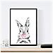 Set Di 6 Stampe Animali Bambini Gomma Da Masticare Cervo Maiale Volpe Gufo Cane A3 Cornice Nera - Foto miniatura 2