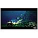 Videogioco Per Xbox One / Series X Under The Waves - Foto miniatura 4