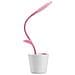 Lampada Da Tavolo Led Con Portapenne: Design Creativo, Protezione Per Gli Occhi Pink - Foto miniatura 1