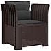 Poltrona a 1 Posto con Cuscini Aspetto Rattan PP Marrone - Foto miniatura 1