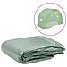 Telo di Ricambio per Serra (4,5 m²) 300x150x200 cm Verde - Foto miniatura 1
