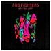 Foo Fighters - Wasting Light (2 Lp)  - Foto miniatura 2