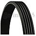 Accessorio Strap 5pk880 - Foto miniatura 1