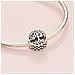 797590 Roots Sterling Silver Charm Familiari - Foto miniatura 2
