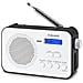 Rt-195 Dab Radio Dab+ fm Rds aux In due Allarmi tre Suonerie - Foto miniatura 1