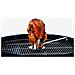 Chicken Roaster - Foto miniatura 2