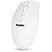 Mouse XMICEU2WH-OEM Ottico 3 Tasti 1000 DPI Colore Bianco - Foto miniatura 1