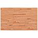 Banco da Lavoro 100x60x(71,5-98) cm Legno Faggio Rettangolare - Foto miniatura 8