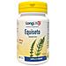 Equiseto Longlife 60cps - Foto miniatura 1