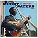 Muddy Waters - At Newport 1960 - Foto miniatura 1