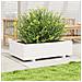 Fioriera Da Giardino Bianca 90x60x26,5cm Legno Massello Di Pino - Foto miniatura 3