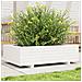 Fioriera Da Giardino Bianca 90x60x26,5cm Legno Massello Di Pino - Foto miniatura 1