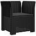 Poltrona a 1 Posto con Cuscino Aspetto Rattan PP Antracite - Foto miniatura 1