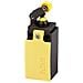 Ls-s02 / l Fine Corsa 400 V / ac 4 A Leva Con Rotella Momentaneo Ip67 1 Pz. - Foto miniatura 1