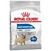 Mini Light Dog Food 3 Kg - Foto miniatura 2