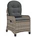 Poltrona Relax con Cuscino Grigio in Rattan Plastificato - Foto miniatura 1