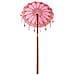 Parasol Balinese Rosa (90-100) x 260 cm Cotone e legno massello - Foto miniatura 5