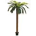 Phoenix Palm Deluxe, Artificial Plant, 250cm - Foto miniatura 1