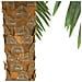 Phoenix Palm Deluxe, Artificial Plant, 250cm - Foto miniatura 2