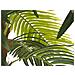 Phoenix Palm Deluxe, Artificial Plant, 250cm - Foto miniatura 3