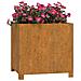 Fioriere Con Gambe 2pz Ruggine 49x47x50 Cm Acciaio Corten - Foto miniatura 9