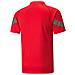 Teamfinal Training Jersey 65737901, Uomini, Rosso, L - Foto miniatura 2