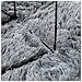 Tappeto Shaggy a Pelo Lungo NAVARRA Grigio Chiaro 240x240 cm - Foto miniatura 3