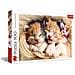 37271 500pezzo (i) puzzle - Foto miniatura 1