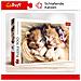 37271 500pezzo (i) puzzle - Foto miniatura 2