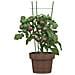 Supporti Piante Da Giardino Con 3 Anelli 5pz Verde 45cm Acciaio - Foto miniatura 3