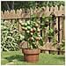 Supporti Piante Da Giardino Con 3 Anelli 5pz Verde 45cm Acciaio - Foto miniatura 1