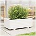 Fioriera Da Giardino Bianca 70x40x26,5cm Legno Massello Di Pino - Foto miniatura 3