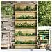Supporto per piante con lo scaffale Marrone 90 x 15 x 180 cm - Foto miniatura 2