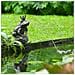 Fontana Da Giardino Spitter Re Rana - Foto miniatura 3