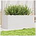 Fioriera Da Giardino Bianca 110x60x45,5 Cm Legno Massello Pino - Foto miniatura 1