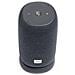 Jbl Link Portable Altoparlante Portatile Mono Grigio 20 W - Foto miniatura 2