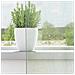 Tende In Voile Con Passanti 2 Pz Grigio Chiaro 140x260 Cm - Foto miniatura 2