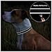 Tagme Collare Per Cani In Nylon Riflettente Con Fibbia A Sgancio Rapido Nero Xs - Foto miniatura 2