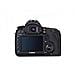 EOS 5D Mark III Kit 24-105 Risoluzione 22,3 Mpx Display 3,2" Scatto continuo a 6 fps AF a 61 punti Filmati Full HD  - Foto miniatura 2