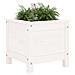 Fioriera Da Giardino Bianca 40x40x39 Cm Legno Massello Di Pino - Foto miniatura 3