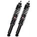29402111 Set Ammortizzatori Posteriori Idraulico Piaggio Vespa Granturismo - E3 03-07, Vespa Gts E3 07-12, Vespa Gtv 07-09, Vespa Granturismo 03-07, Vespa Gt 60 06-08, Vespa Gts 05-14, Vespa Gts Abs 05-14 - Foto miniatura 1
