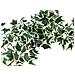Holland Ivy Bush Tendril Classic, Artificial, 70cm - Foto miniatura 3